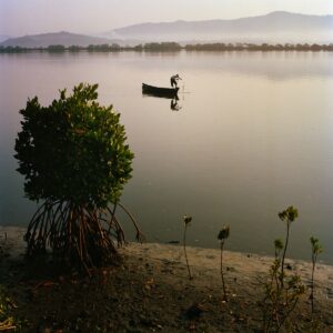 Aghanashini Back water